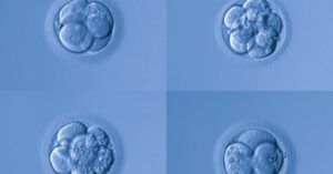Embryo and Blastocyst Grading – How Does it Work?