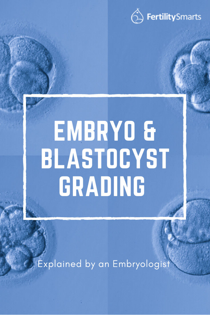 Embryo & Blastocyst Grading