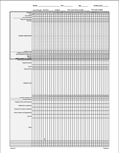 TCOYF Paper Chart