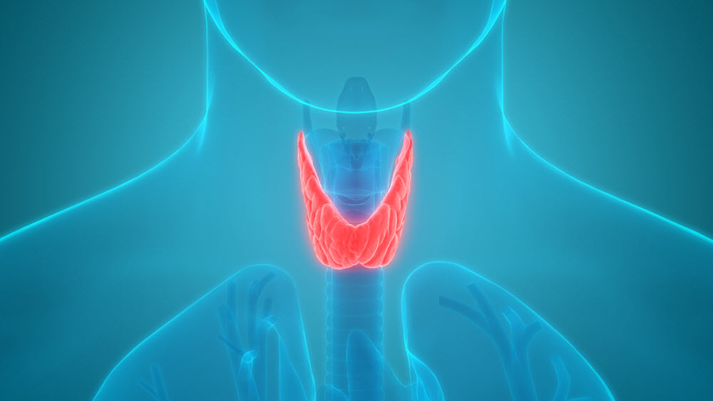 Does thyroid function affect fertility?